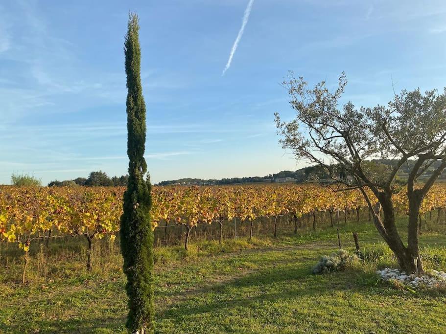 L'Atelier De La Bergerie - L' Ardeche - Via Rhona Villa Pont-Saint-Esprit Exterior photo