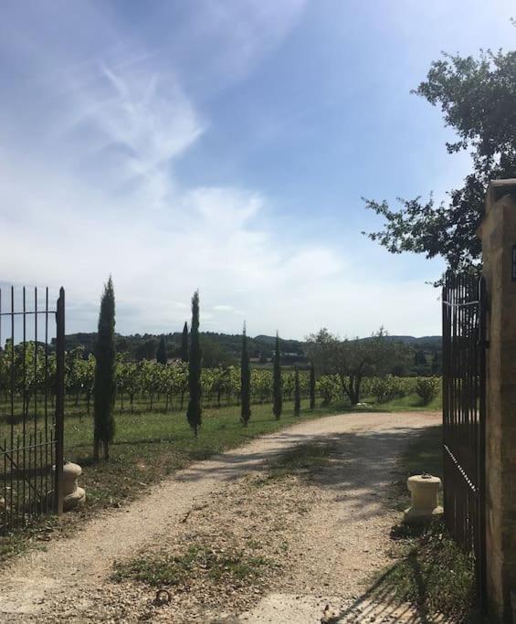 L'Atelier De La Bergerie - L' Ardeche - Via Rhona Villa Pont-Saint-Esprit Exterior photo